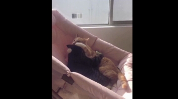 Topganhotty  17-08-2021 video feets